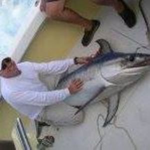 Meet your Posher, Jose